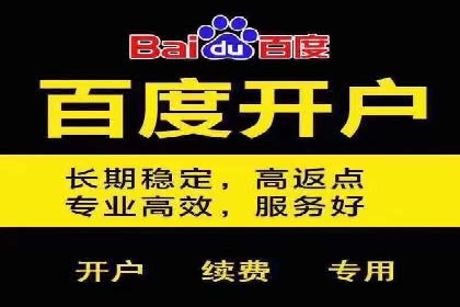 专业SEM代运营托管公司案例分析
